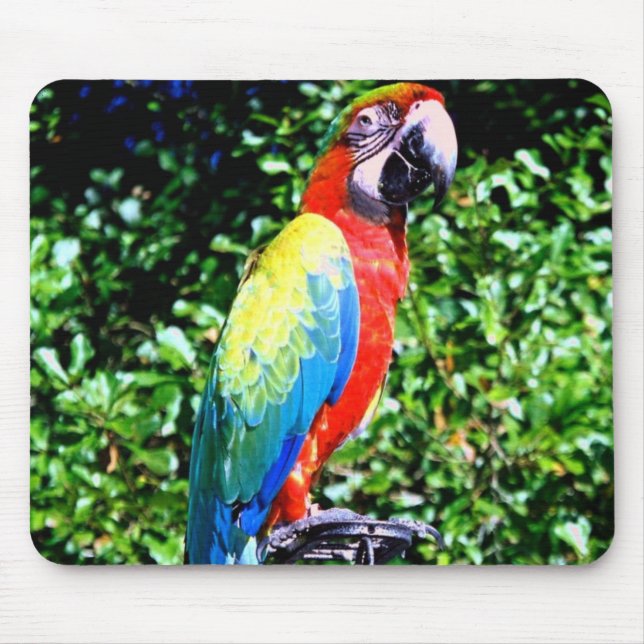 Macaw Mousepad Musmatta (Framsidan)