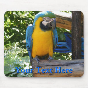 Macaw Mousepad Musmatta