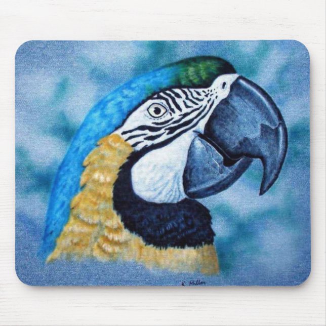 Macaw Musmatta (Framsidan)