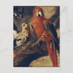 Macaw och Bullfinch Vykort