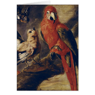 Macaw och domherre hälsningskort