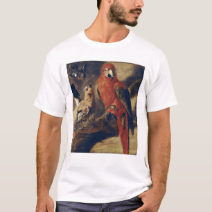 Macaw och domherre tee