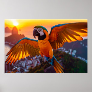 Macaw över Rio De Janeiro-vågrät poster