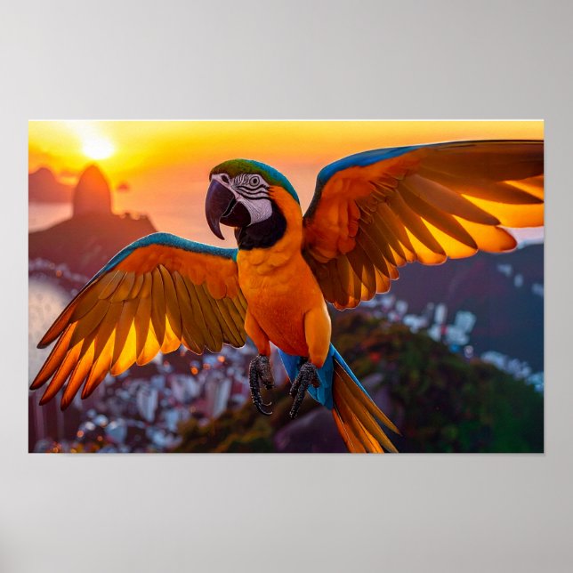 Macaw över Rio De Janeiro-vågrät poster (Framsidan)