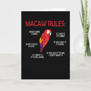 Macaw Owner presenterar Bird Scarlet Macaw Parrot Kort