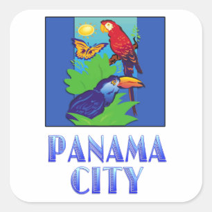 Macaw, papegoja, fjäril & djungel PANAMA CITY Fyrkantigt Klistermärke