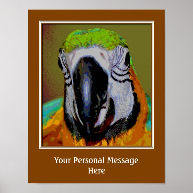 Macaw Parrot Ansikte Skapar din egen offert Poster (Framsidan)