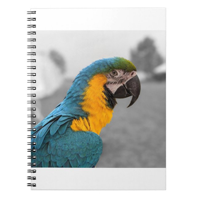 Macaw Parrot Anteckningsbok (Framsidan)