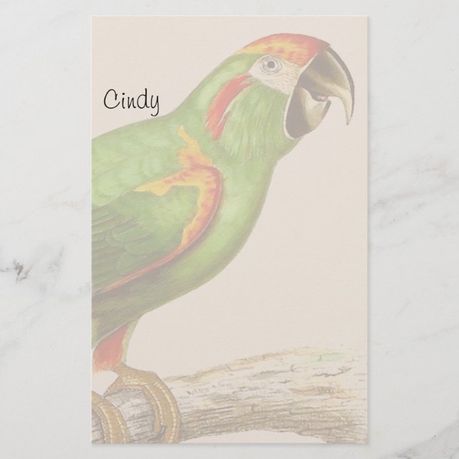 Macaw Parrot Bird Wildlife Animal Stationery Brevpapper (Framsida)