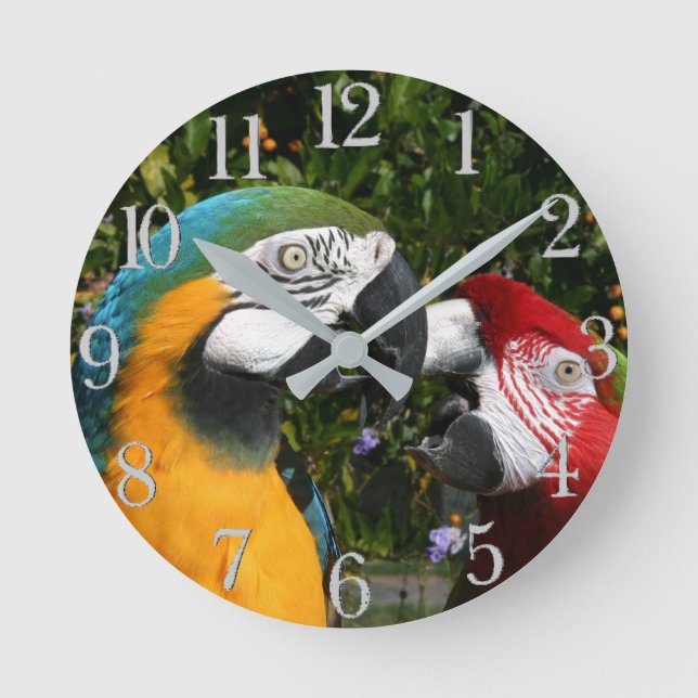 Macaw Parrot Birds Wildlife Animal Wall Clock Rund Klocka (Framsida)