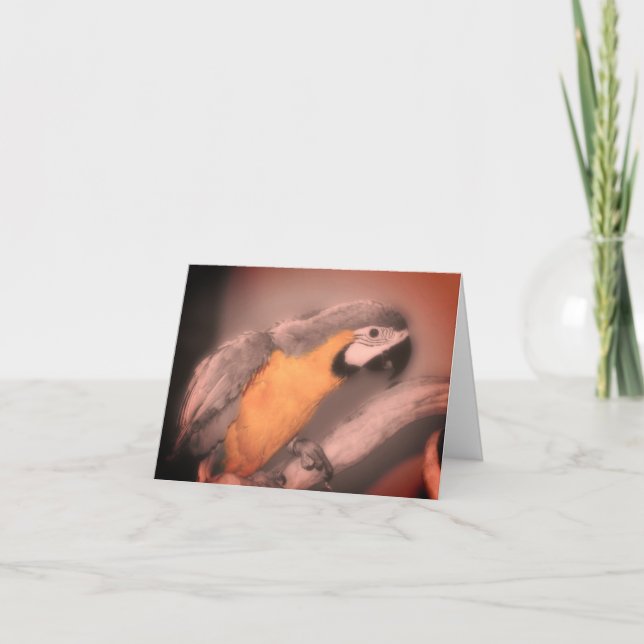 Macaw Parrot Black White Partial Färg Note Card Tack Kort (Framsida)
