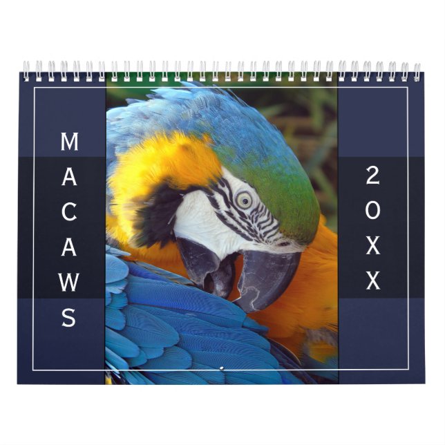 Macaw Parrot Blue Guld Scarlet Hyacinth 2026 Bird Kalender (Omslag)