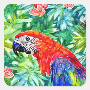 Macaw Parrot Fyrkantigt Klistermärke