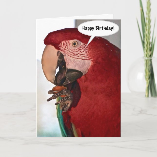 Macaw Parrot Grattis på födelsedagen Card Kort (Framsida)