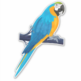 Macaw Parrot i Blue och Guld Klistermärken