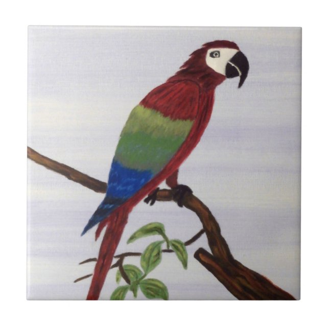 Macaw Parrot Kakelplatta (Framsidan)