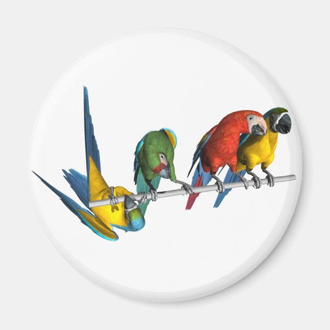 Macaw Parrot Magnet (Framsidan)