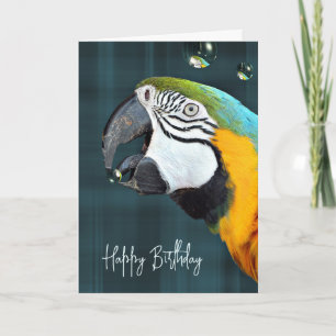 Macaw Parrot med Bubbles Birthday Kort