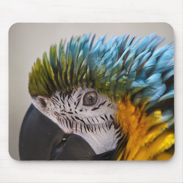Macaw Parrot - Mousepad Musmatta (Framsidan)