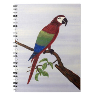 macaw,parrot,natur,solnedgång,fåglar,blommor,fågel anteckningsbok