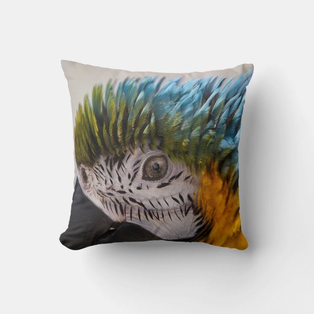 Macaw Parrot Porträtt Pillow Kudde (Framsida)