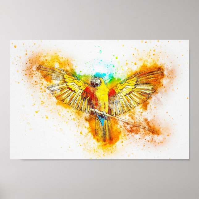 Macaw Parrot Poster (Framsidan)