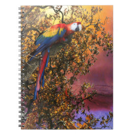 MACAW PARROT RAIN SKOGSUTPOST ANTECKNINGSBOK
