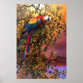 MACAW PARROT RAIN SKOGSUTPOST POSTER