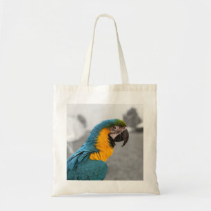 Macaw Parrot Tygkasse