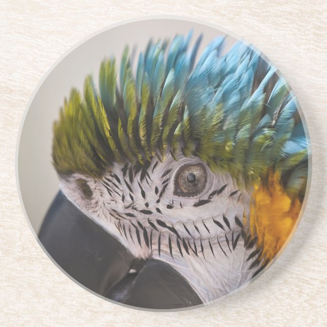 Macaw Parrot - Underlägg Sandsten (Framsidan)