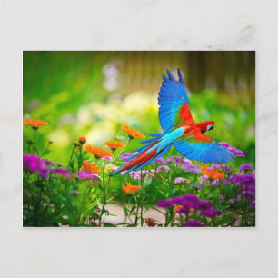 Macaw Parrot Vykort