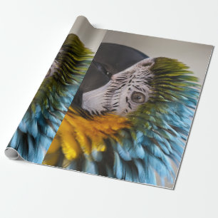 Macaw Parrot Wrapping Papper Presentpapper