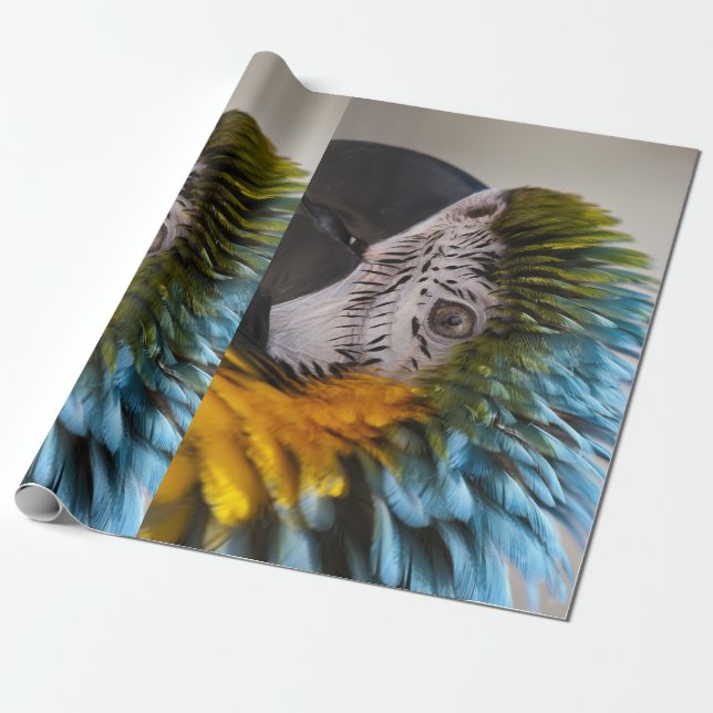 Macaw Parrot Wrapping Papper Presentpapper (Utrullad)