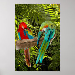 Macaw Parrots i en Poster tropisk skog