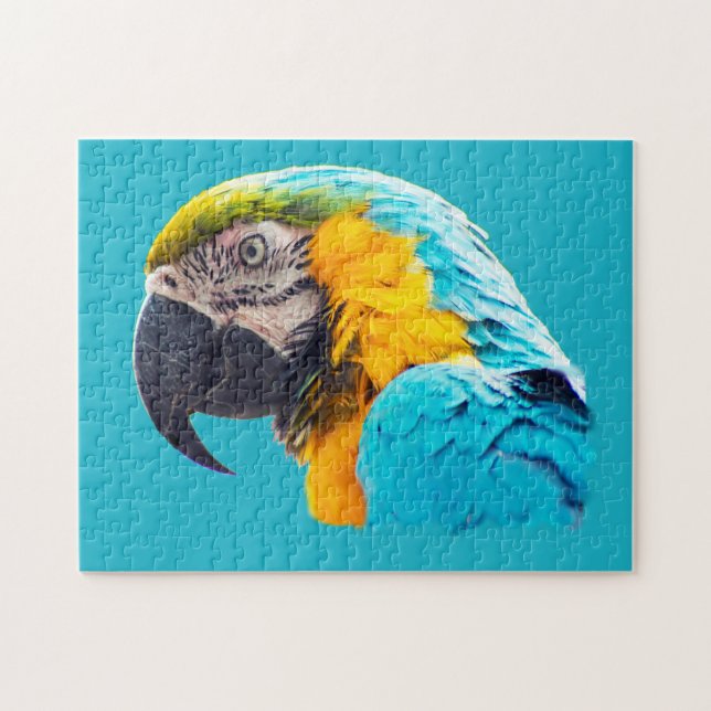 Macaw porträtt på en turkos bakgrund pussel (Horisontell)