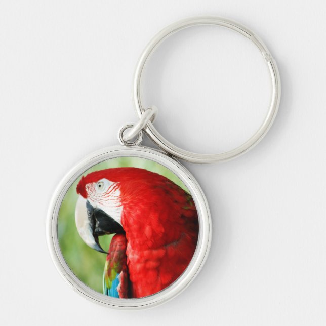 Macaw Porträtt Rund Silverfärgad Nyckelring (Framsidan)