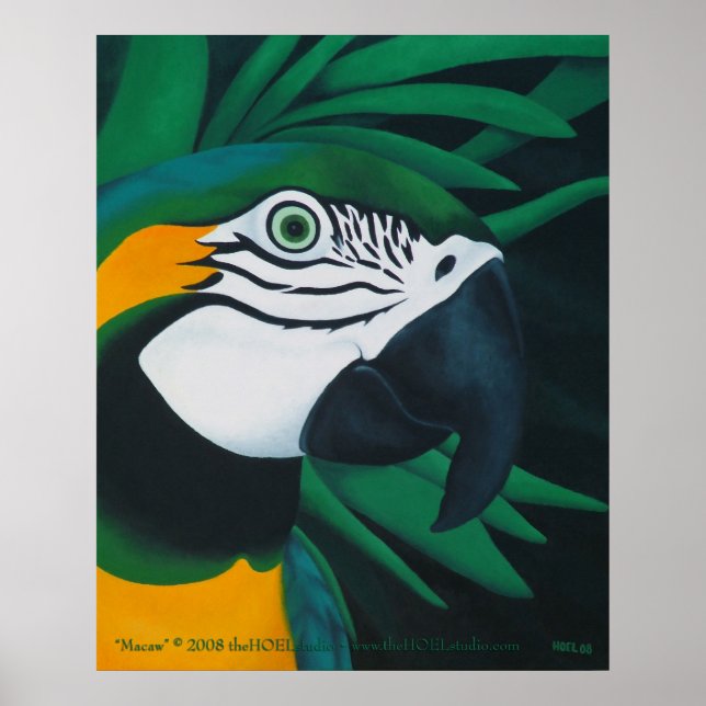 Macaw Poster (Framsidan)