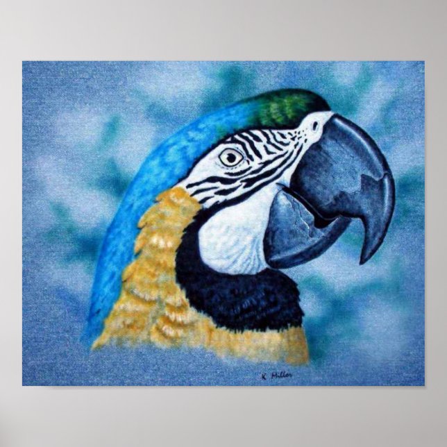 Macaw Poster (Framsidan)