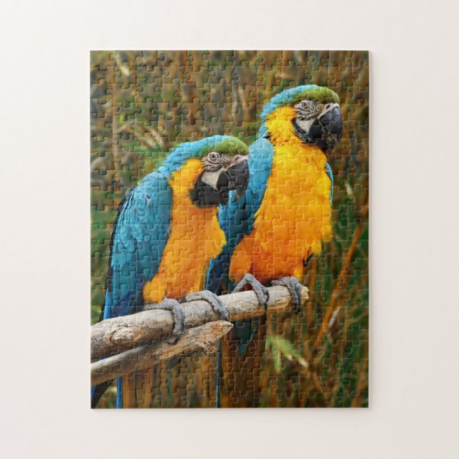 Macaw Puzzle Pussel (Vertikal)
