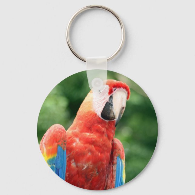macaw scarlet ansikte nyckelring (Framsida)