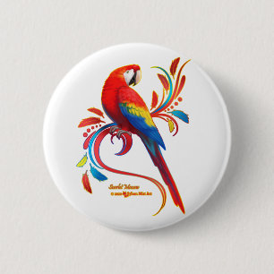 Macaw-Scarlet Knapp