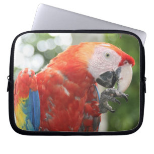 macaw scarlet laptop fodral