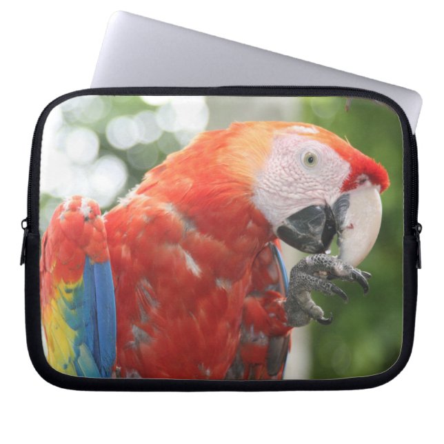 macaw scarlet laptop fodral (Framsidan)