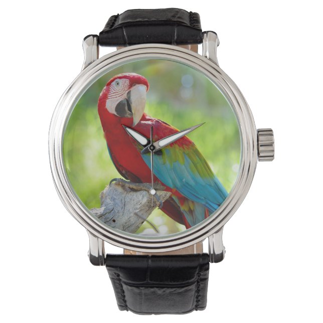 Macaw sitta på gren armbandsur (Framsida)