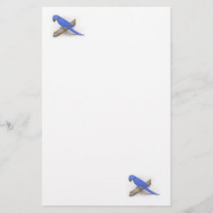 Macaw Stationery Brevpapper