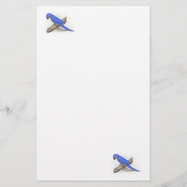Macaw Stationery Brevpapper (Framsida)