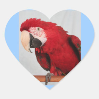 Macaw Stickers Hjärtformat Klistermärke