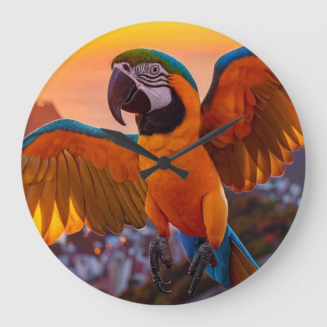 Macaw Stor Klocka (Framsida)