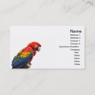 macaw visitkort
