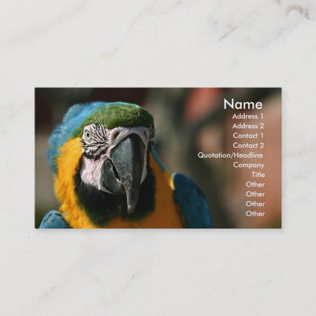 Macaw Visitkort (Framsida)
